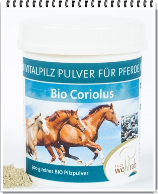 Futtermittel u. Kräuter – Das equine Sarkoid